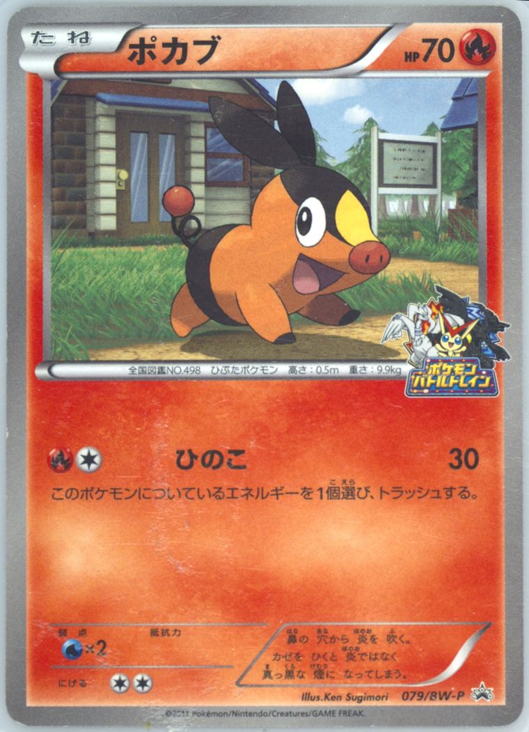 Tepig (Black White Promo)