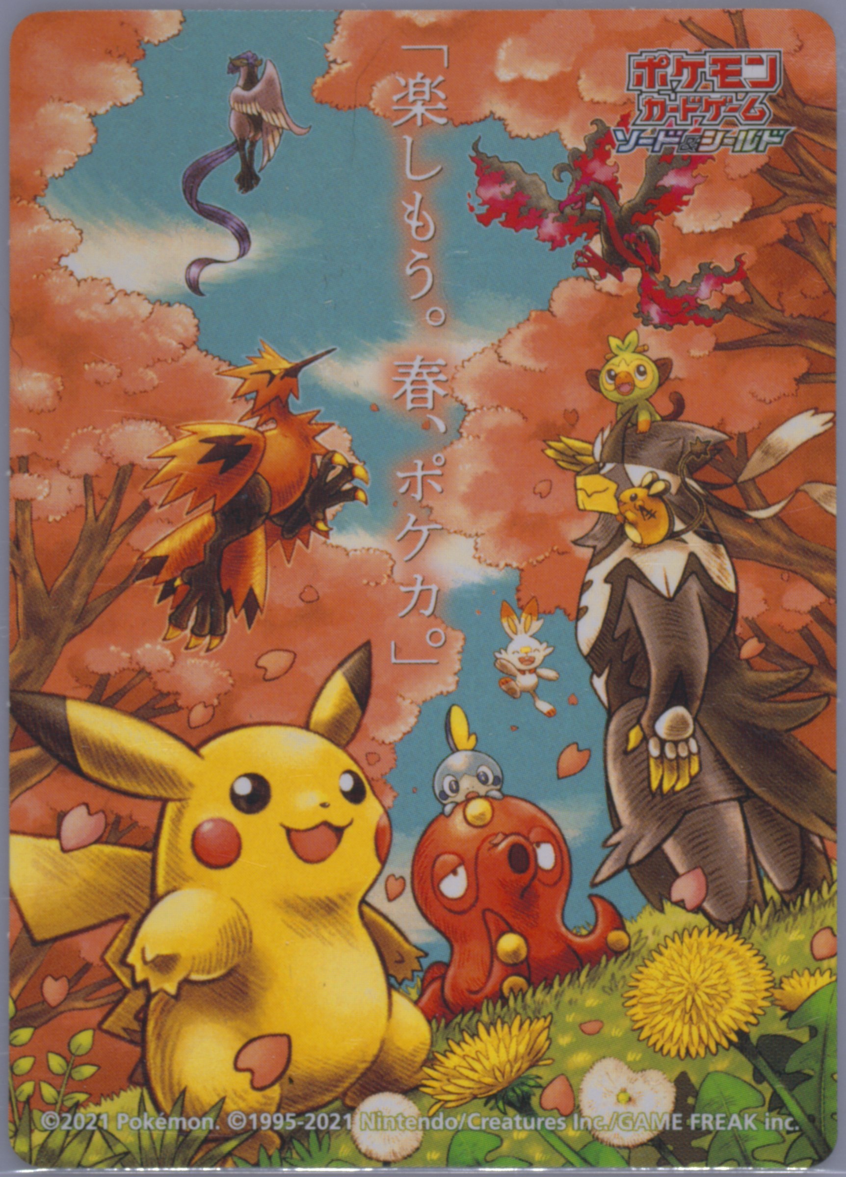 2021 LET'S HAVE FUN! ステッカー 春ポケカPSA10 2021 Pokemon Japanese Let's Have FUn! Spring Pokeka Sticker PSA 5