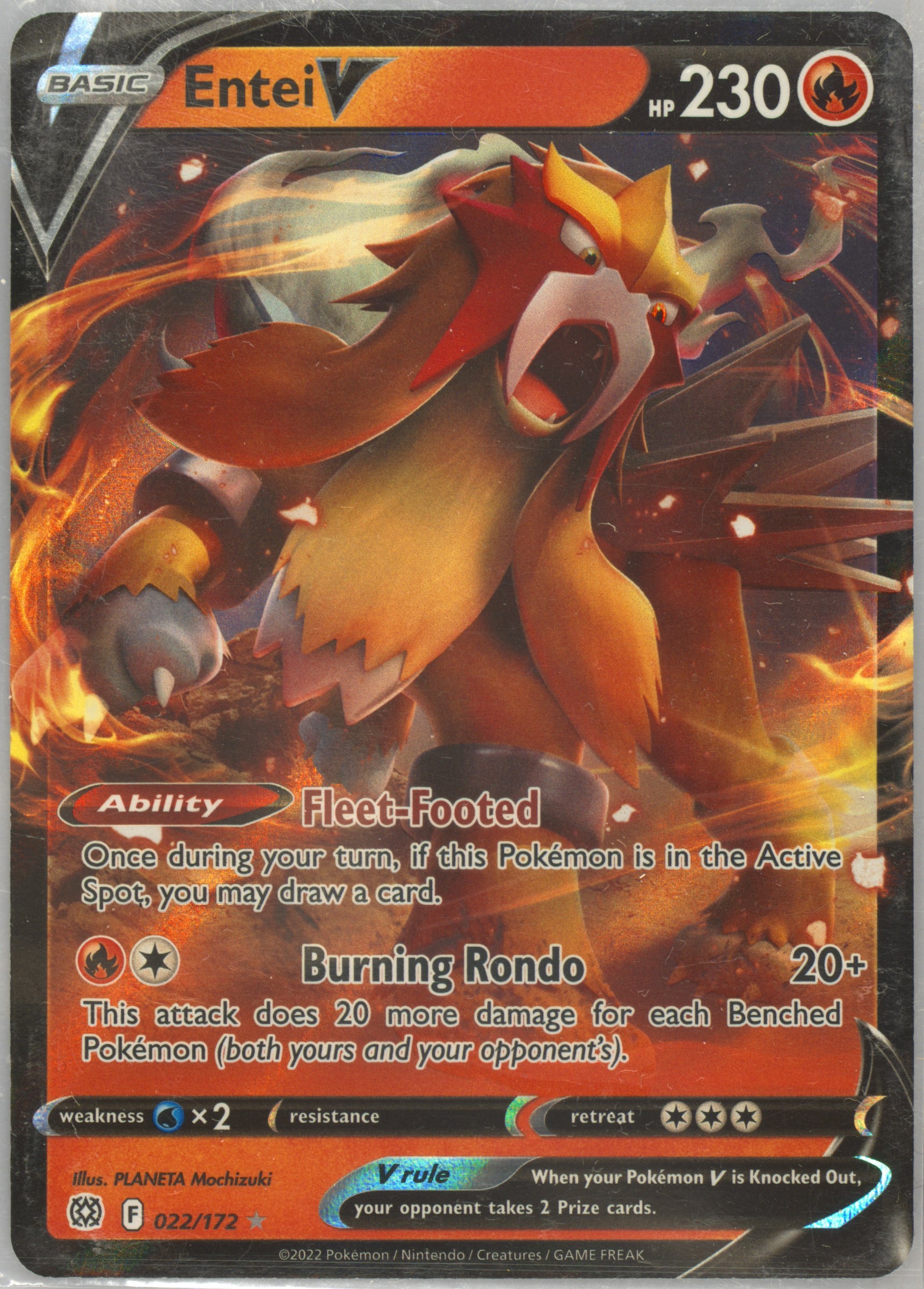 2022 ポケモン エンティ V PSA 10 Spec Details