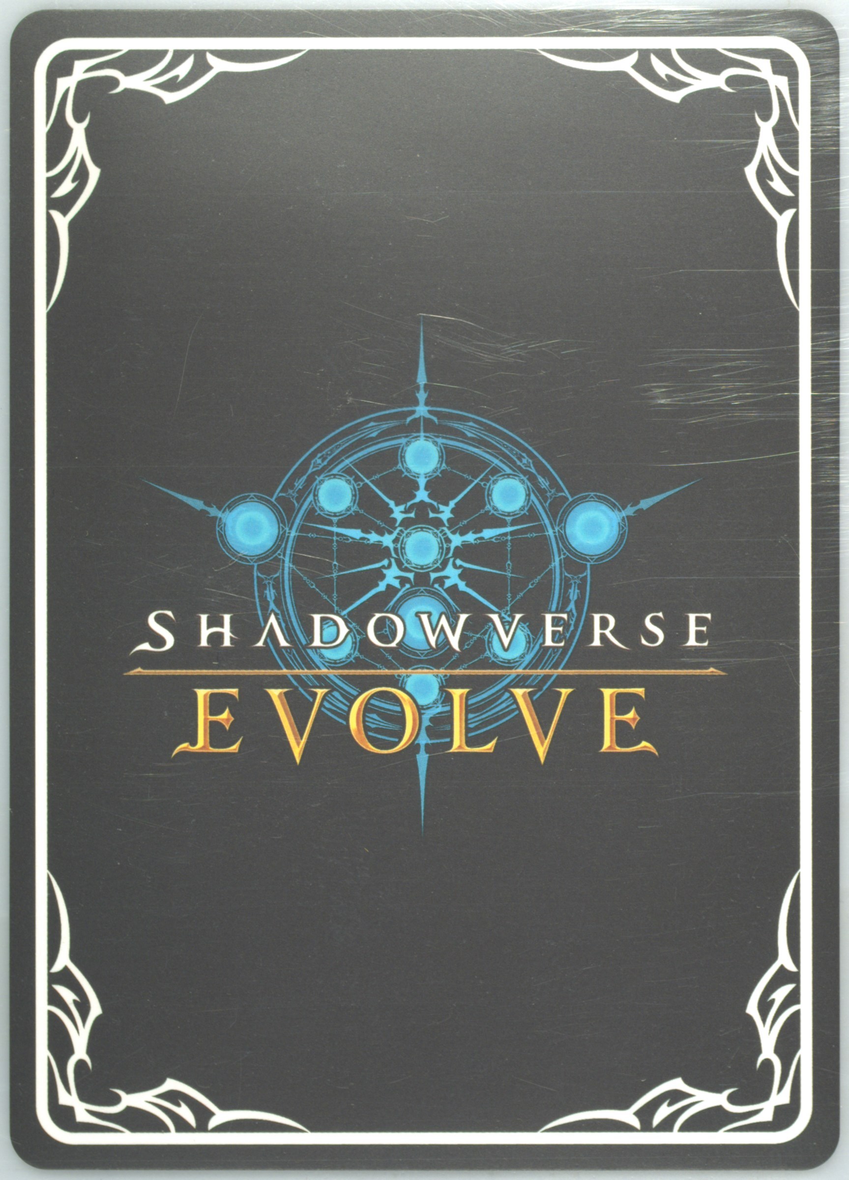 SHADOWVERSE EVOLVE バイヴカハPSA 10 PSA 10 Gold Ship Signed Shadowverse Evolve Uma Musume SP18 CP01-SP