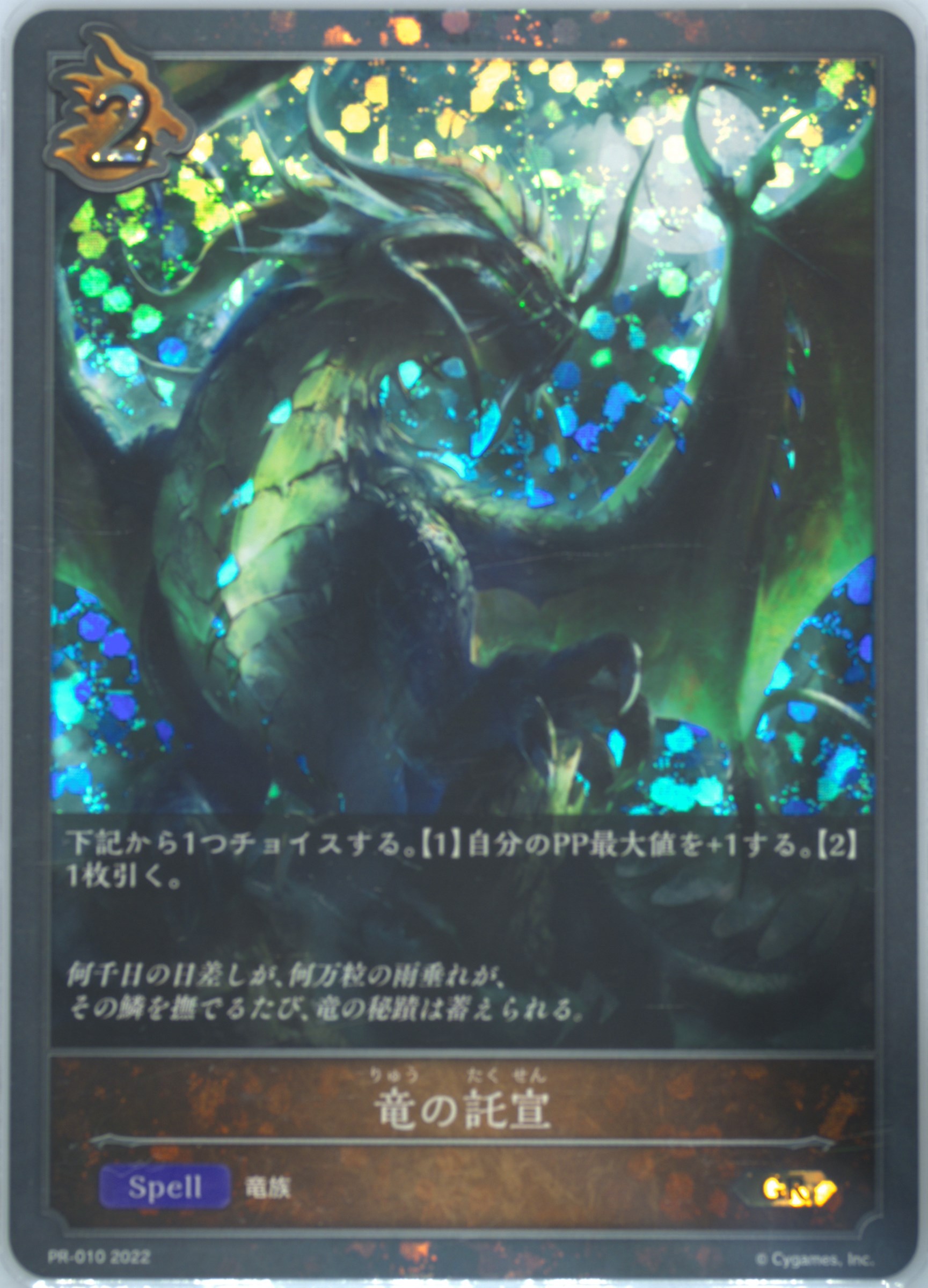 竜の託宣【PR】{PR-010}