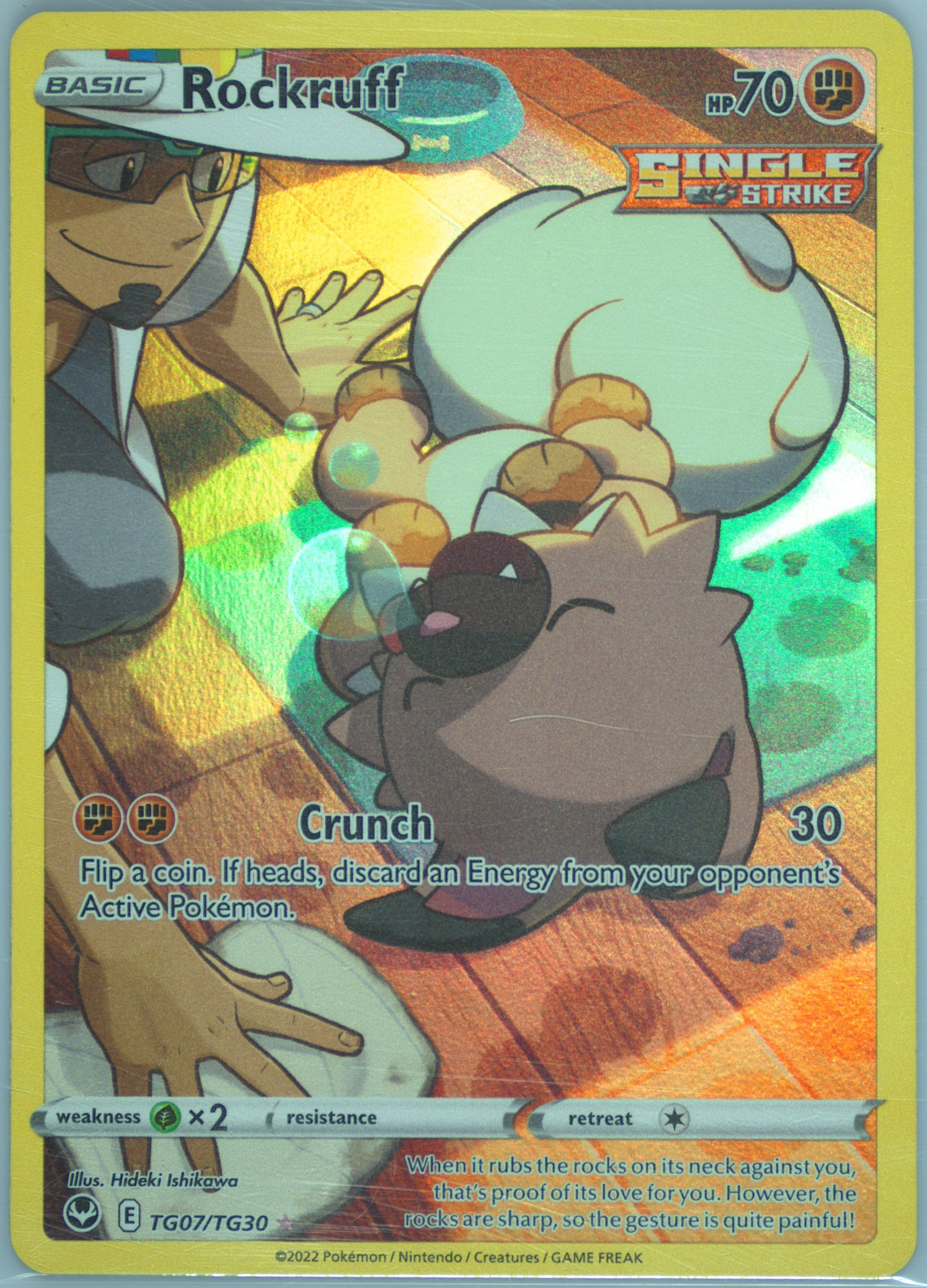 pokemon cards rockruff Rockruff Trainer Gallery Silver Tempest TG07/TG30, NM Pokemon Card main image 1