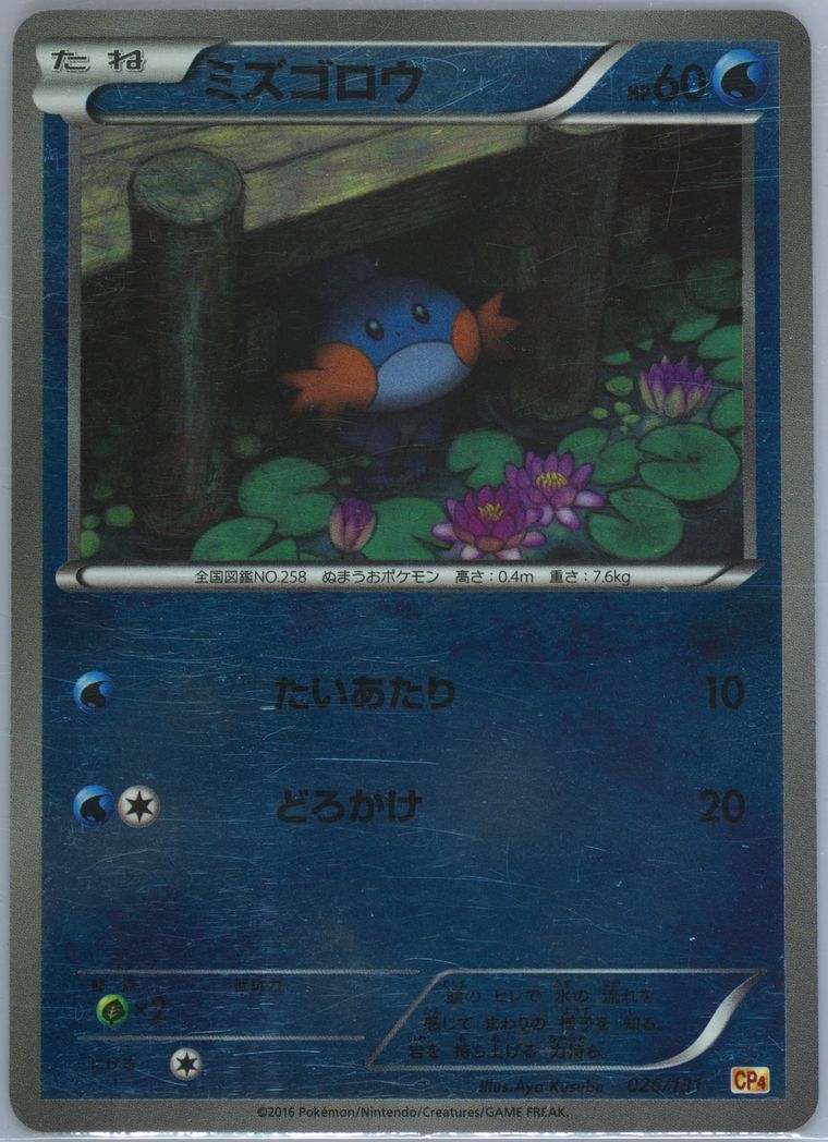 Mudkip (Premium Champion Pack)