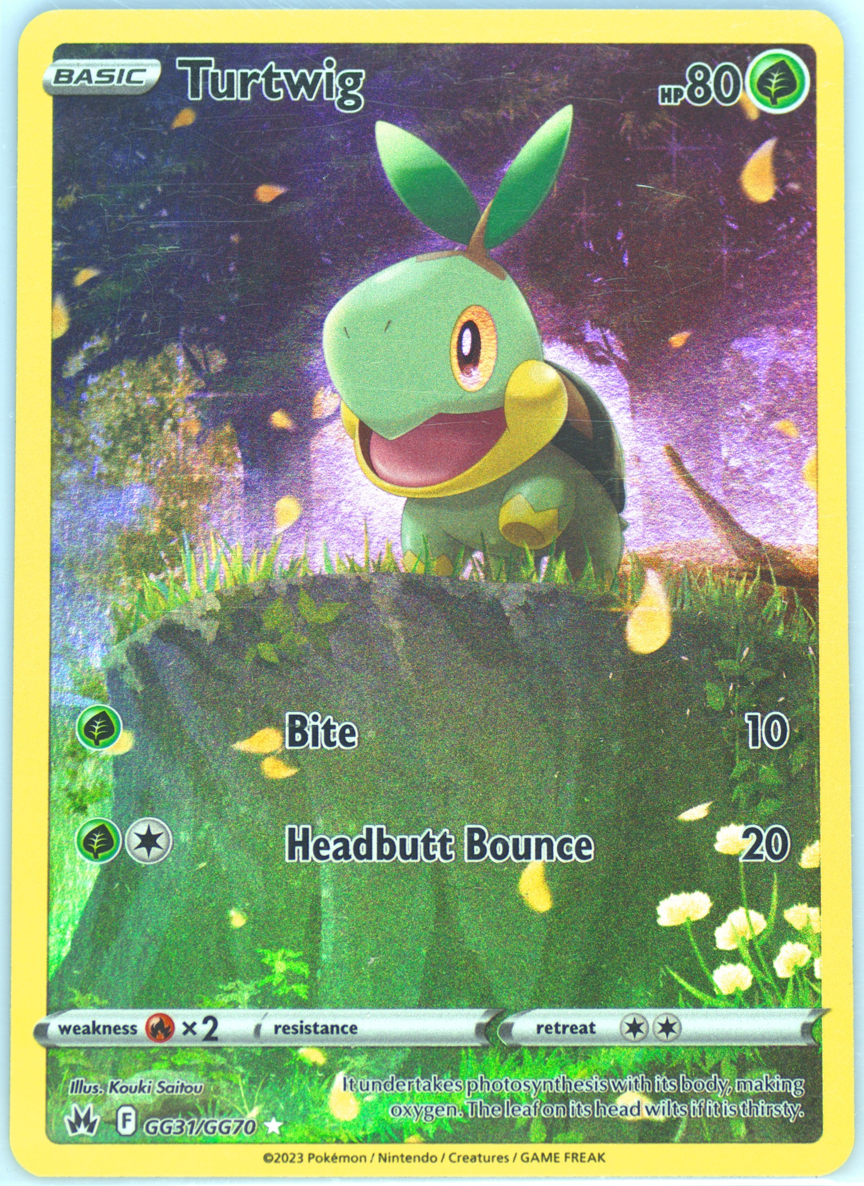 pokemon card turtwig POKÉMON CARD GAME s12a 209/172 AR