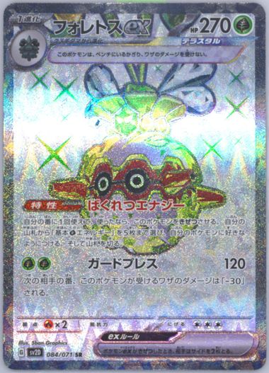 遠慮はしない ofr psa10 - nporeprints.com
