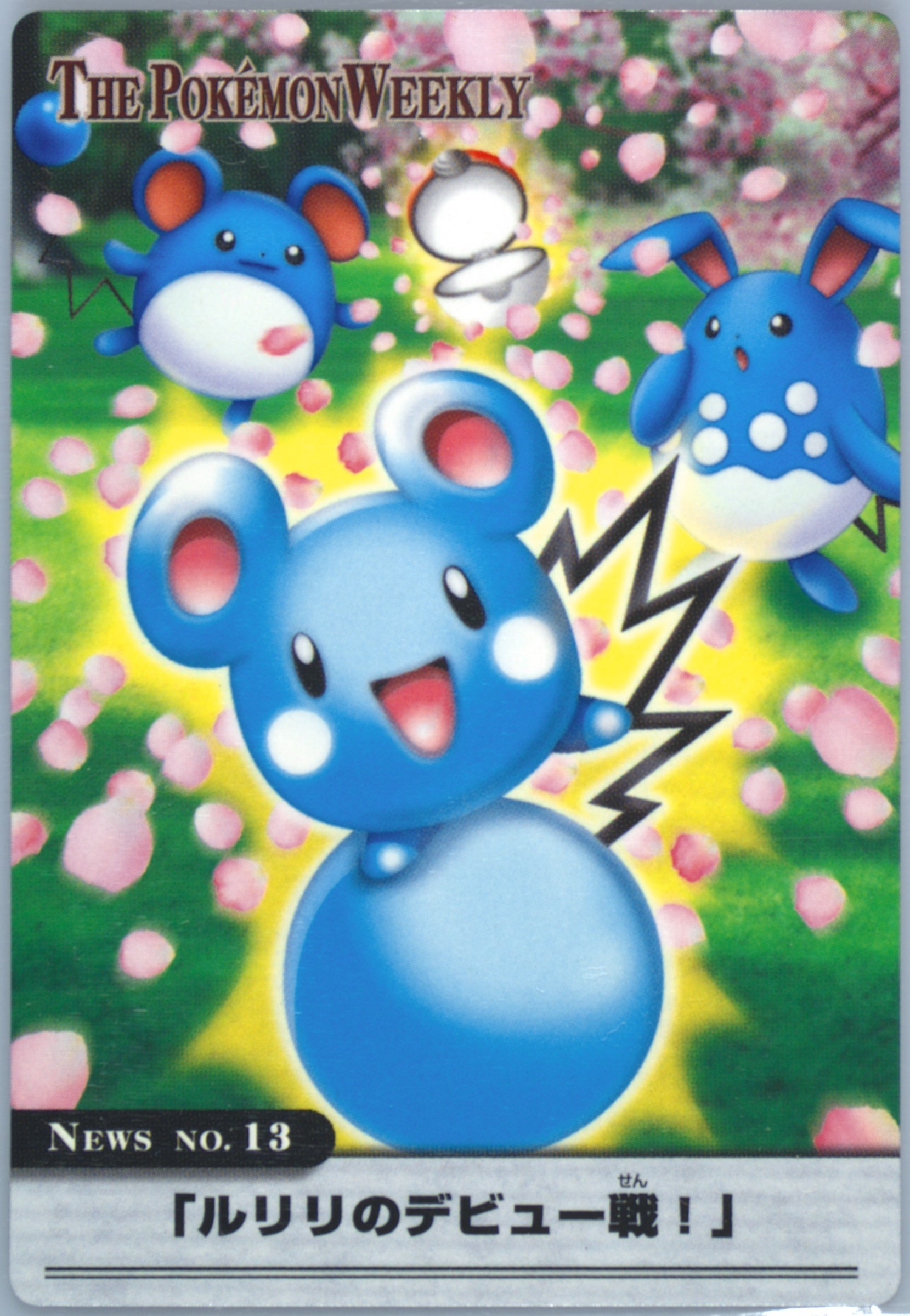 THE POKEMON WEEKLY Autumn1・2 THE POKEMON WEEKLY Autumn1・2 ZUKAN Carddass THE POKÉMON