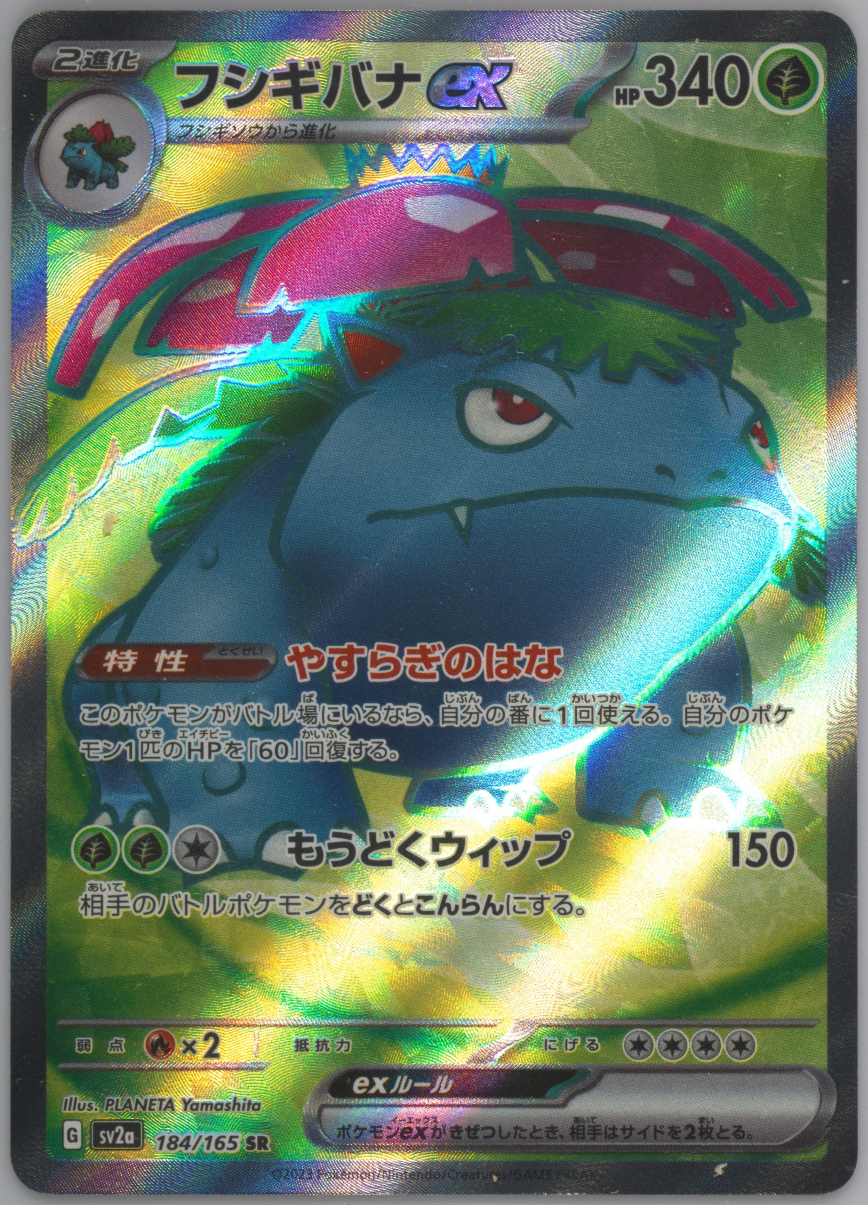 japanese venusaur pokemon card 1996 POKEMON JAPANESE BASE SET NO OPAQUE LAYER TEST PRINT HOLO NINETAL –  lowpopping main image 1