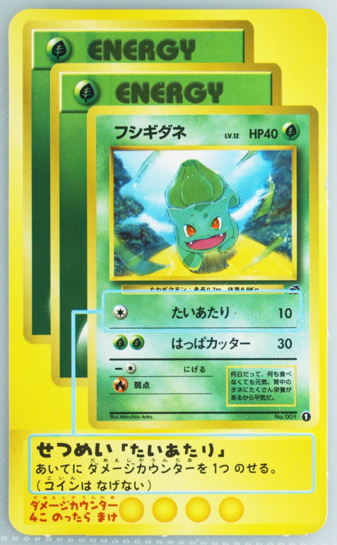 チコリータ チャンピオンロード2000プロモ - PSA MINT9 Auction Prices Realized Tcg Cards 2000 POKEMON JAPANESE