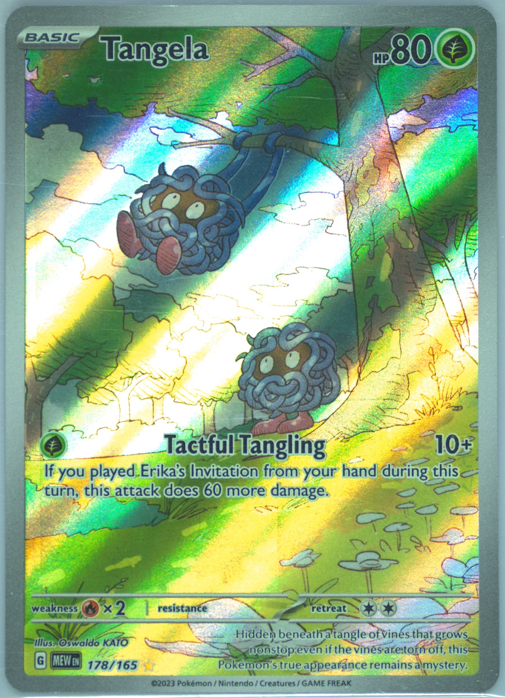 pokemon cards mystery pack CardActivity Packs (Deluxe Mystery Packs) V2 main image 0