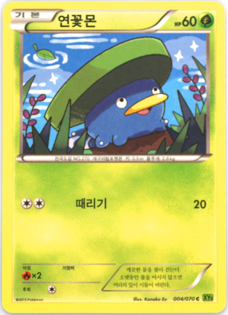 Lotad - Xy Tidal Storm - Pokemon Korean card