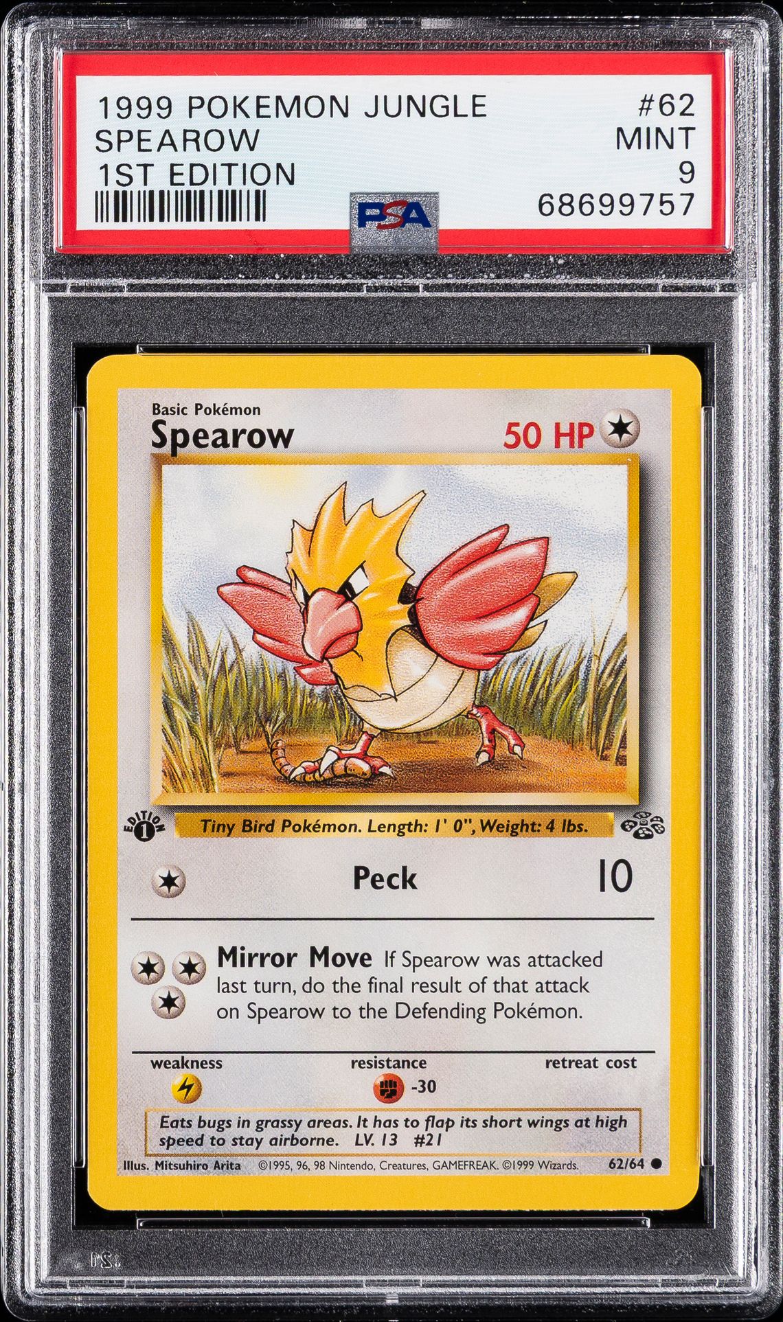 #62 SPEAROW