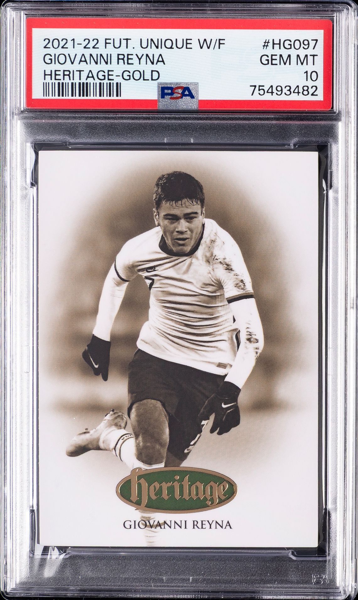 #HG097 GIOVANNI REYNA