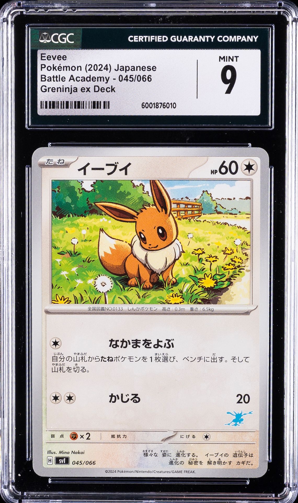 #45 Eevee