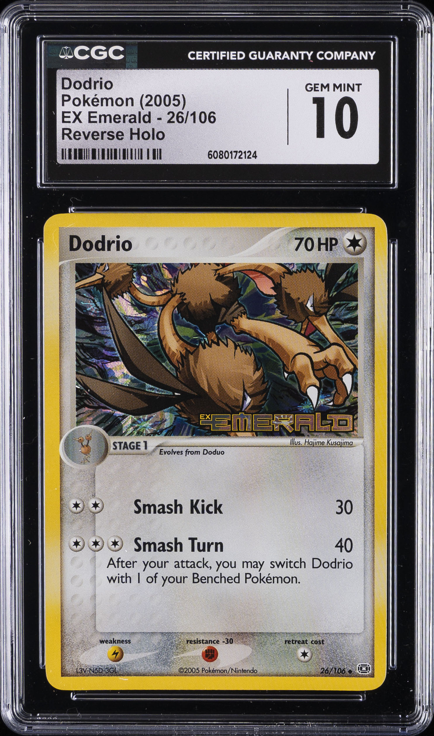 ポケモンカードゲーム CGC 10 Plusle 2005 EX Emerald Pokemon aviRMng8gkatlpduR-PgXA.jpg